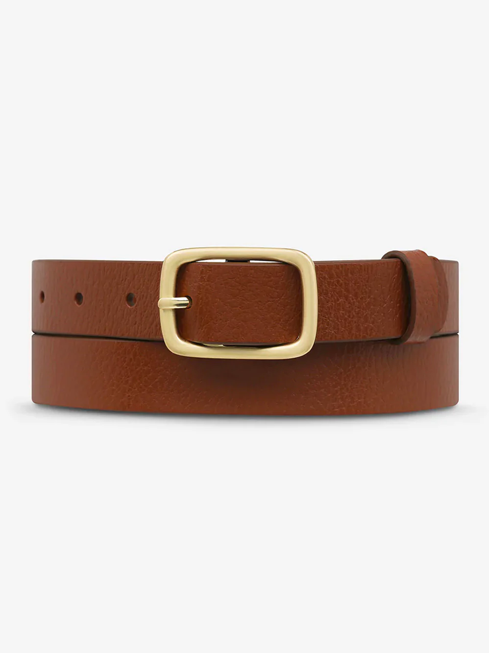 STATUS ANXIETY NOBODY'S FAULT BELT - Image 4