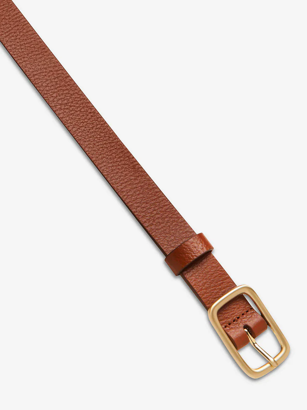 STATUS ANXIETY NOBODY'S FAULT BELT - Image 6